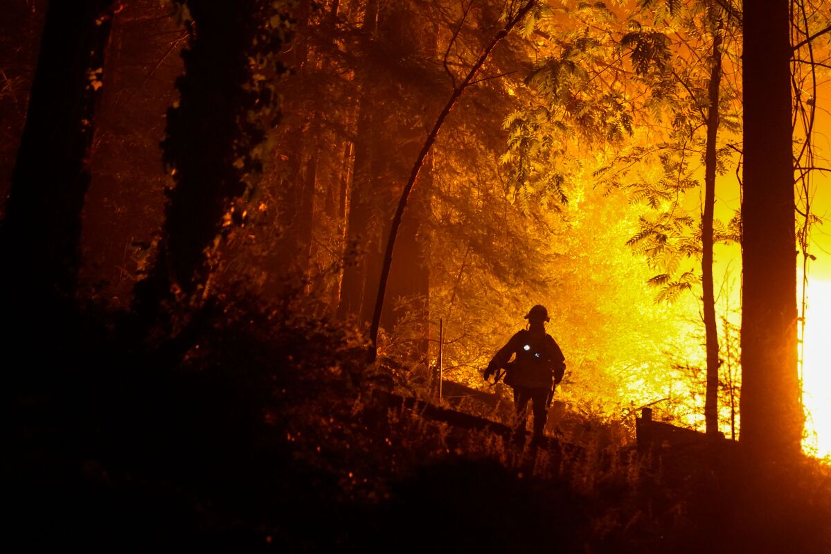 A firefighter silhouetted by fire in a forest