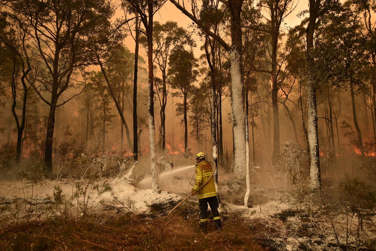 An Australian firefighter sprays fire retardant on a back burn in the New South Wales town of Jerrawangala on Wednesday.