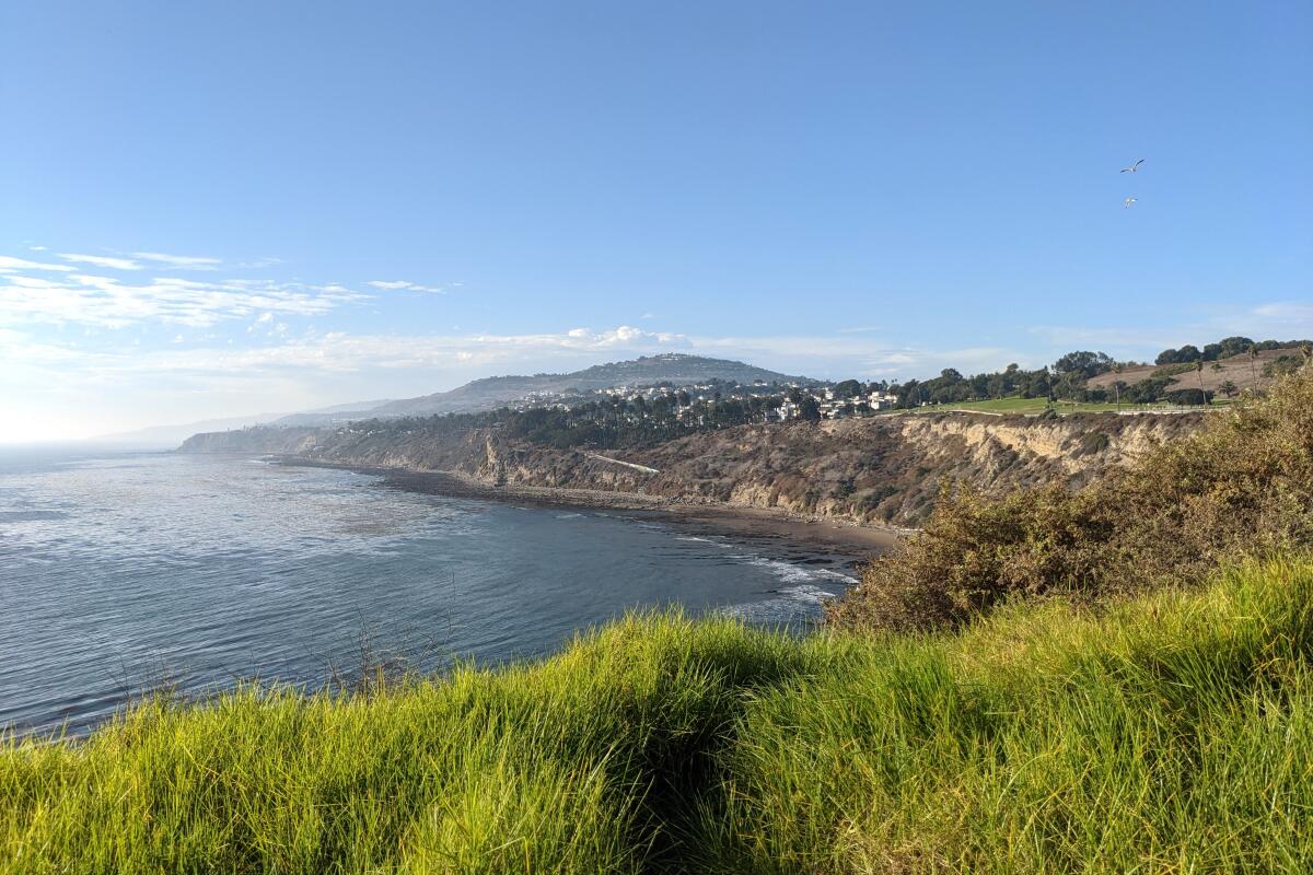 The coastline of San Pedro and Palos Verdes.