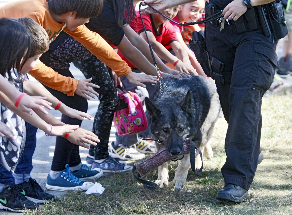 Some of the 409 pairs of student hands that got to touch Glendale Police Dept. K9 dog Yudy (with K9 oifficer Maribel Feeley) during Red Ribbon Week dog skills demonstration at Valley View Elementary School in La Crescenta on Tuesday, Oct. 22, 2013. Officer Feeley spoke about drugs and their bad effects and how Yudy is used to catch bad guys and find drugs and other items.