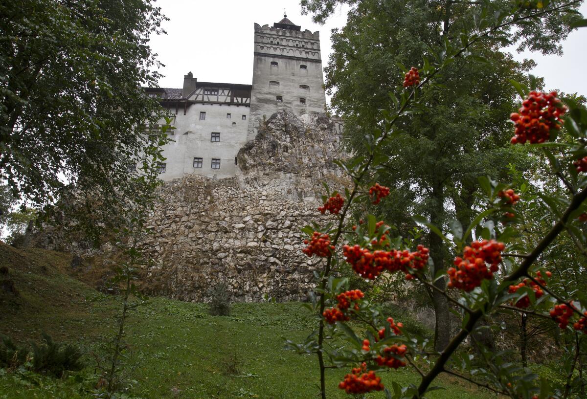 A castle is seen through surrounding foliage