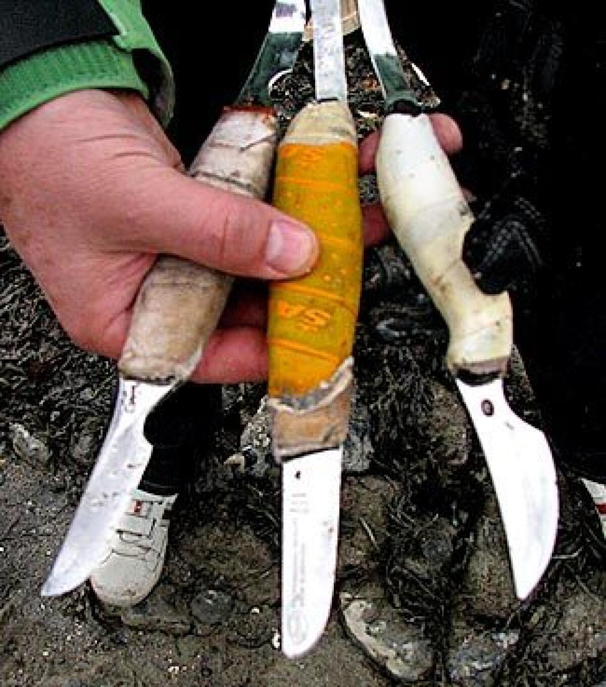 Heini Petersen of Norway displays his oyster shucking knives.