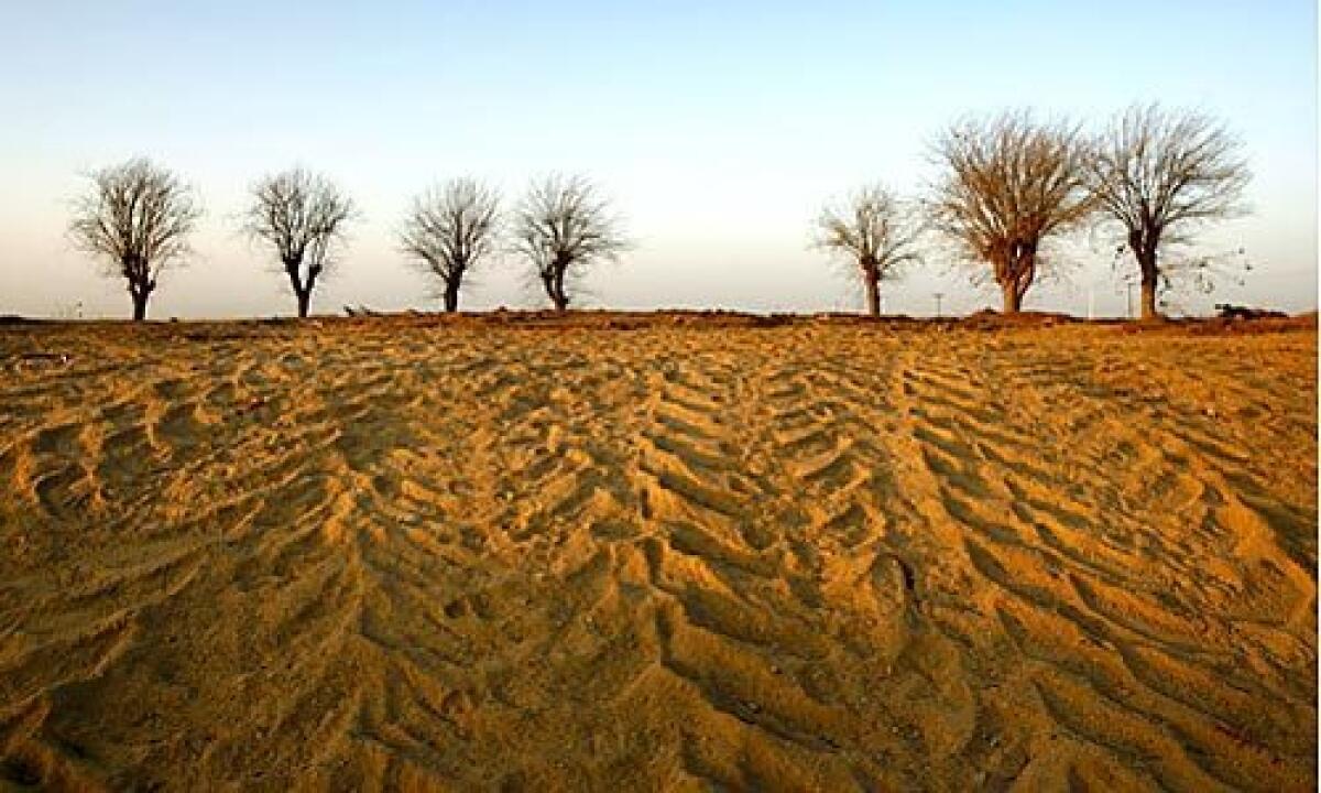 California Gov. Arnold Schwarzenegger has proclaimed a statewide drought but stopped short of declaring a water emergency. Near Bakersfield, farmland has been graded and put up for sale for commercial development.