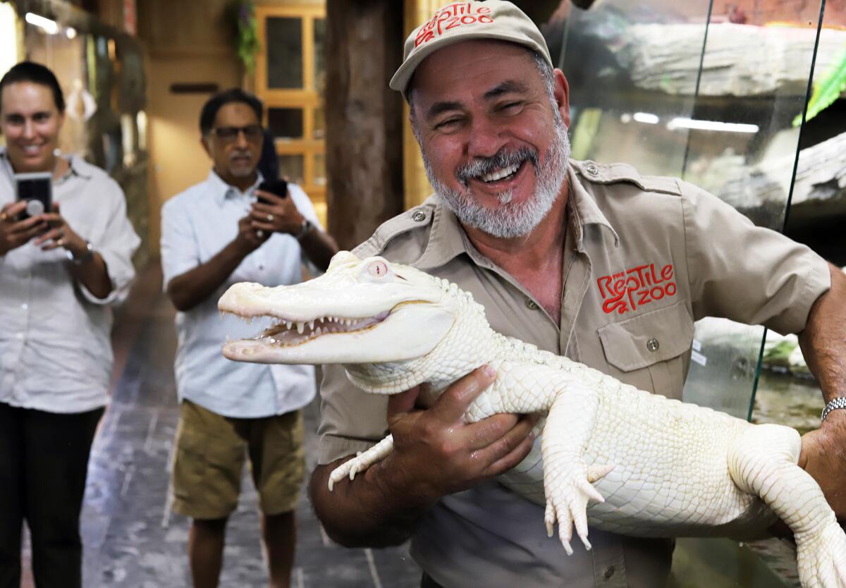 Jay Brewer, founder of the Reptile Zoo smiles as he holds an albino alligator at the Reptile Zoo.