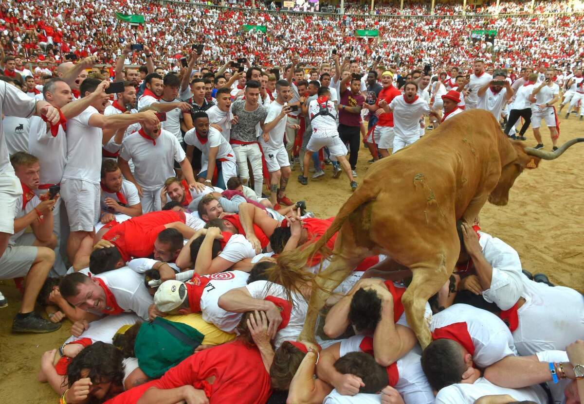 A bull climbs over a pile of runners in the bullring at the end of the course in Pamplona, Spain.