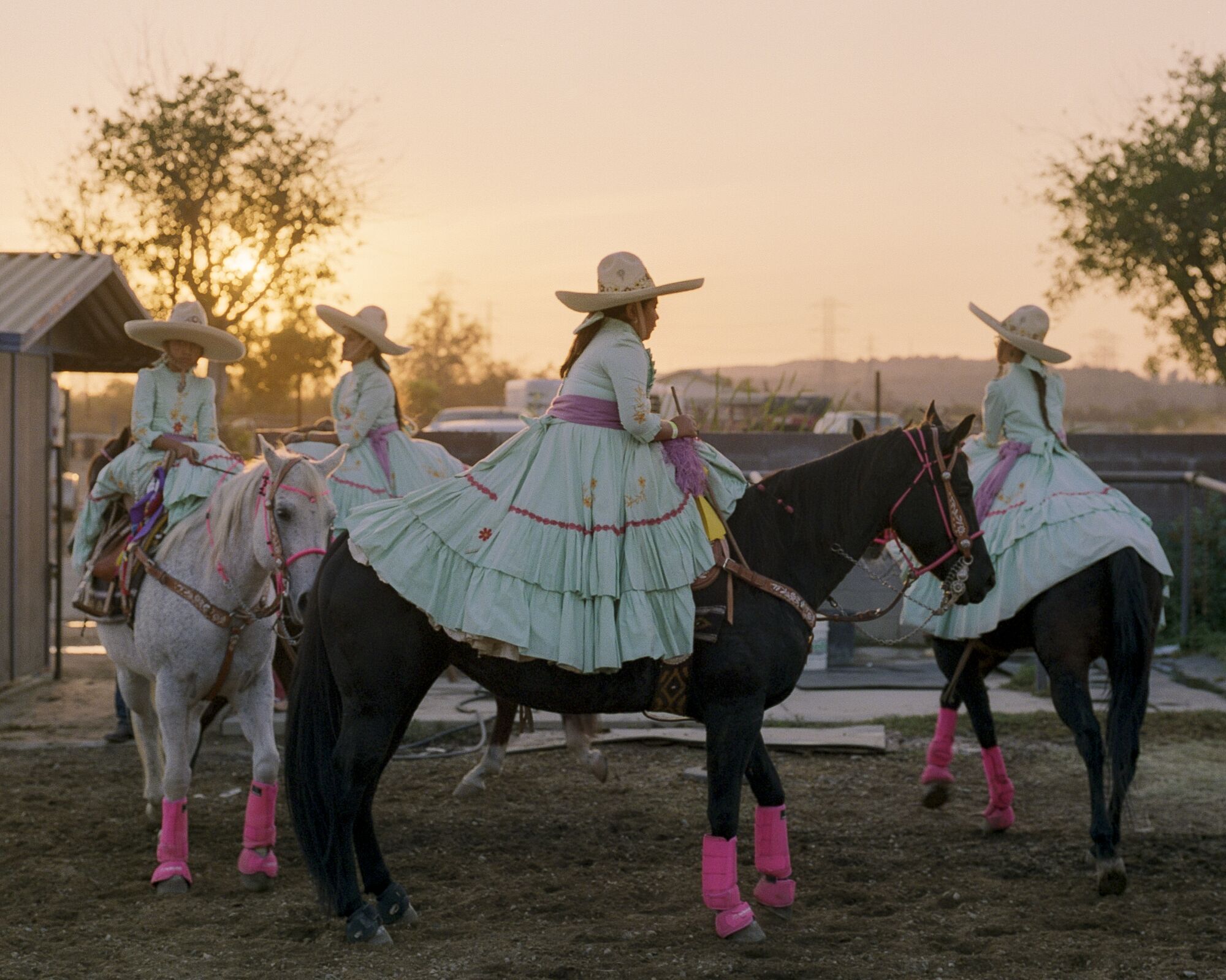 A group of women in blue dresses sits on horses during sunset.