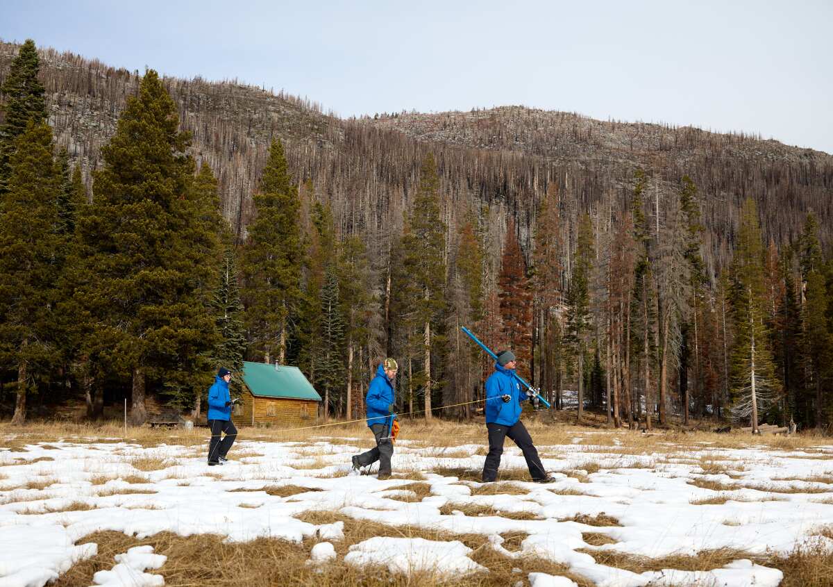 Officials walk through snowless patches while measuring the snowpack.