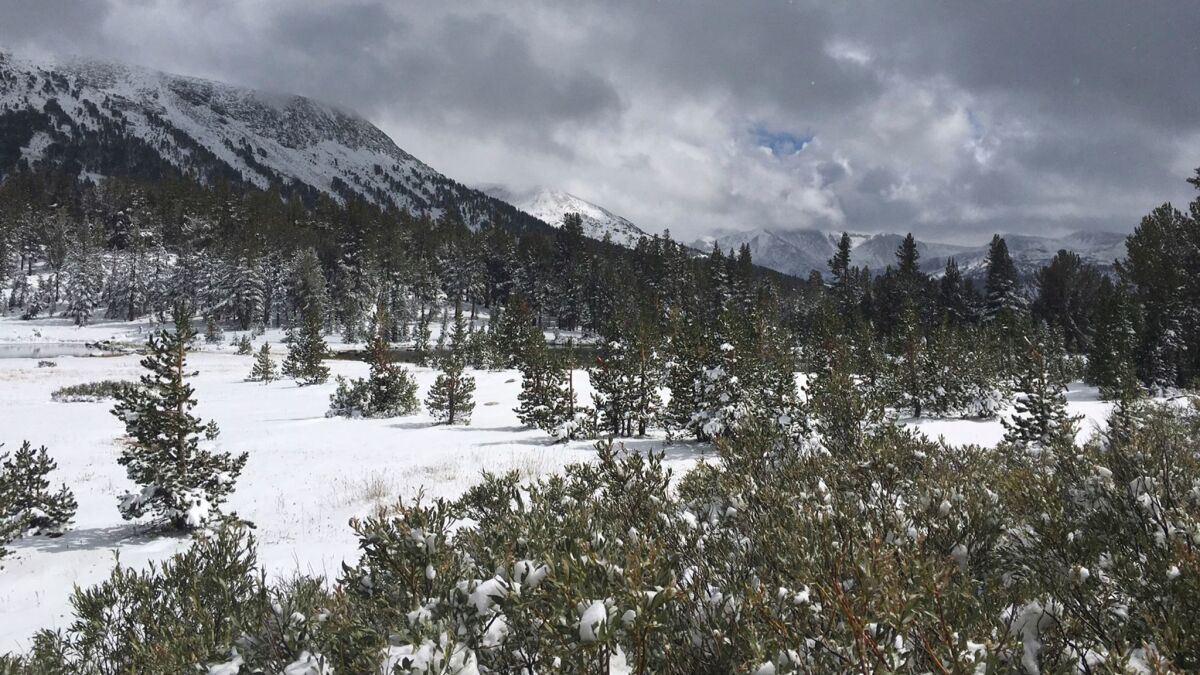 Yosemite National Park on Wednesday closed roads to the backcountry because of wintry conditions. Snow fell near Tioga Pass in late September.
