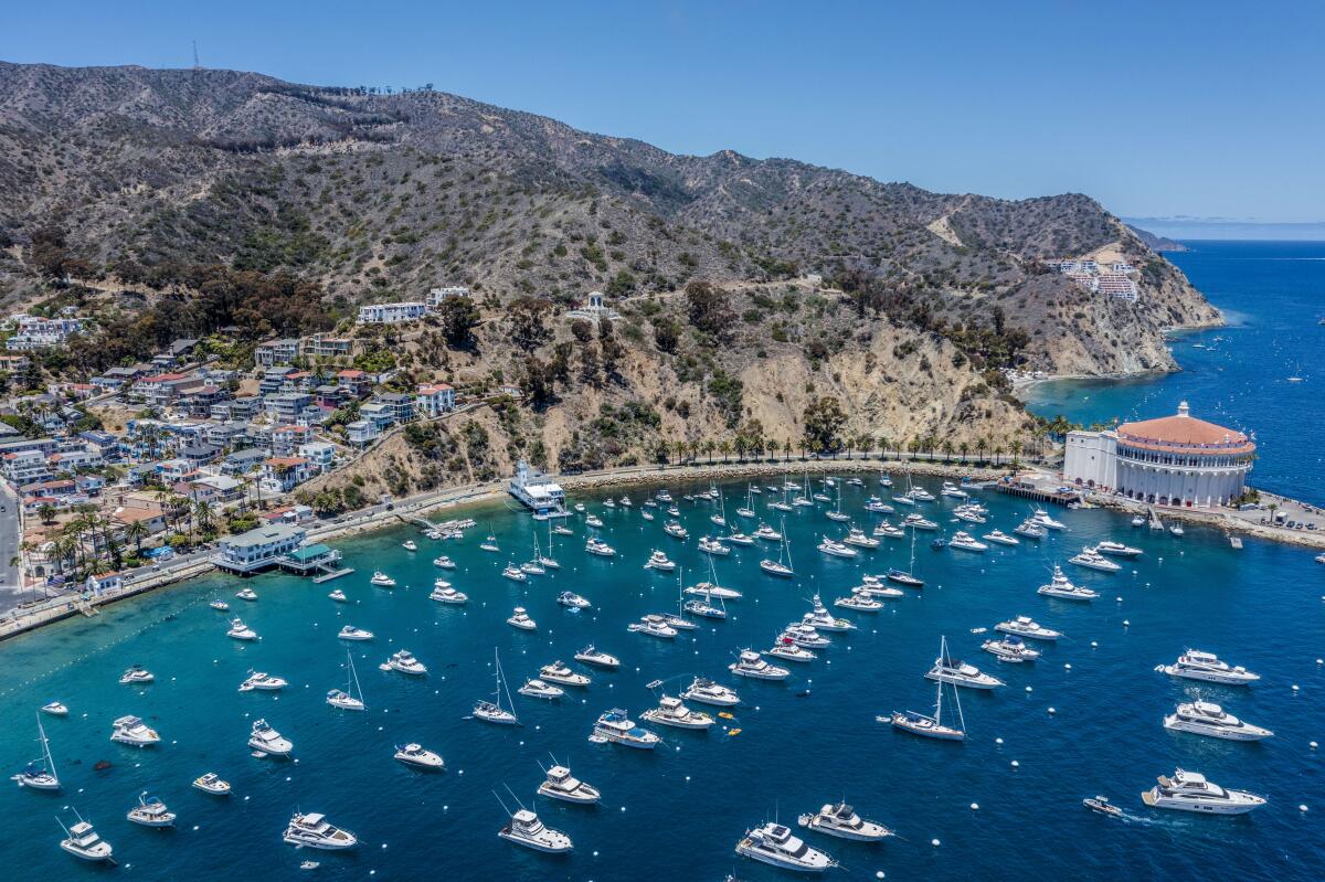 An aerial view of boats moored at Avalon Harbor and the Catalina Casino in Catalina Island