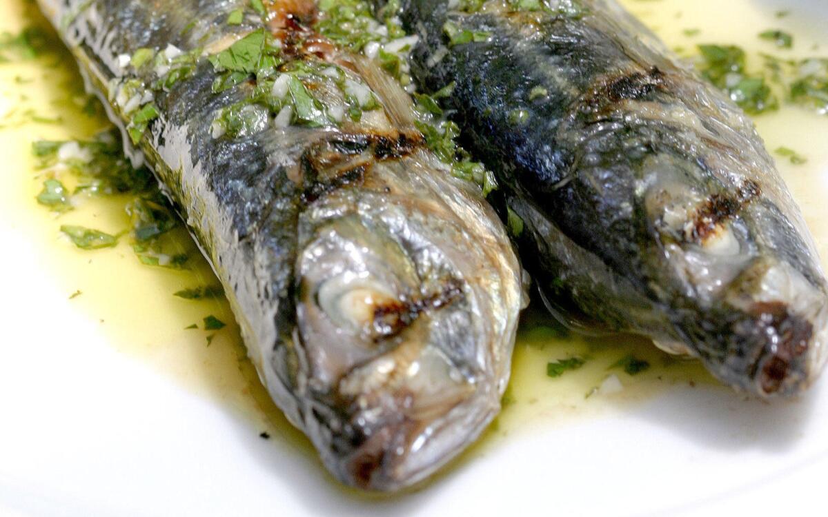 Grilled mackerel with salmoriglio