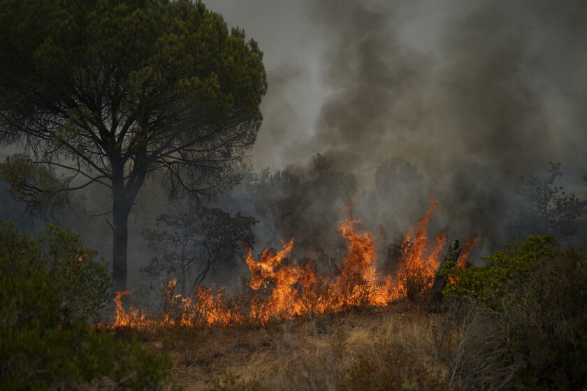 Un incendio en un bosque cerca de Le Luc, sur de Francia, el martes 17 de agosto de 2021. (AP Foto/Daniel Cole)