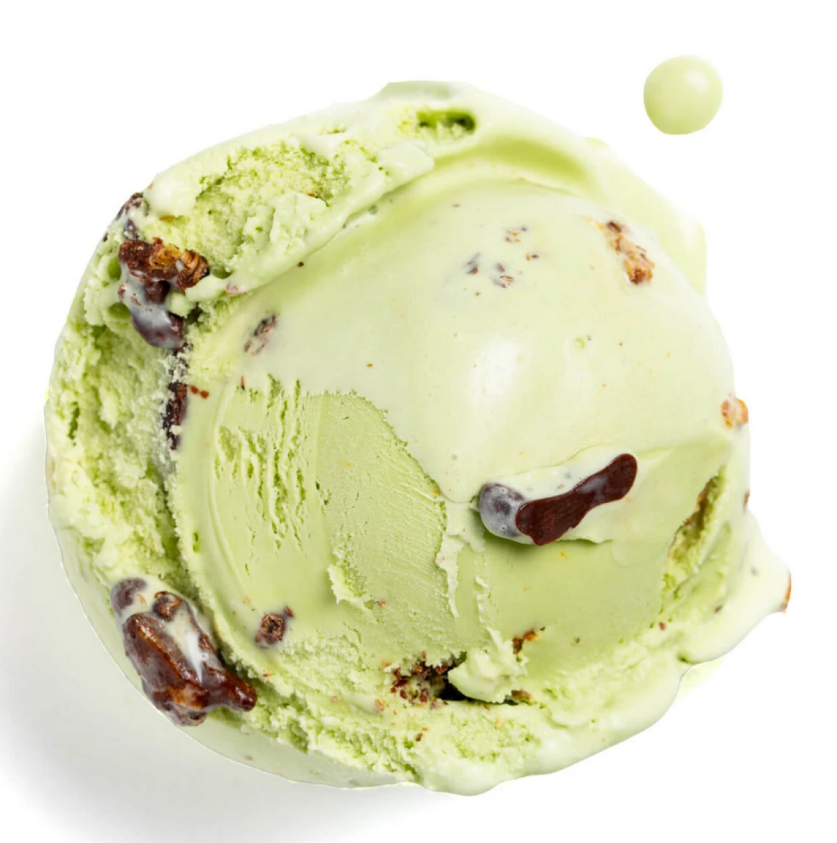 Salt & Straw's Creepy Crawler Critters