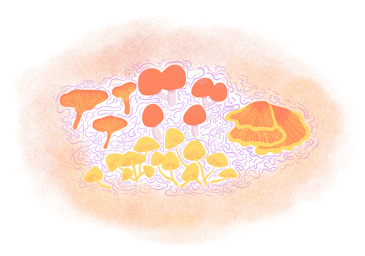 mushrooms communicating with one another 