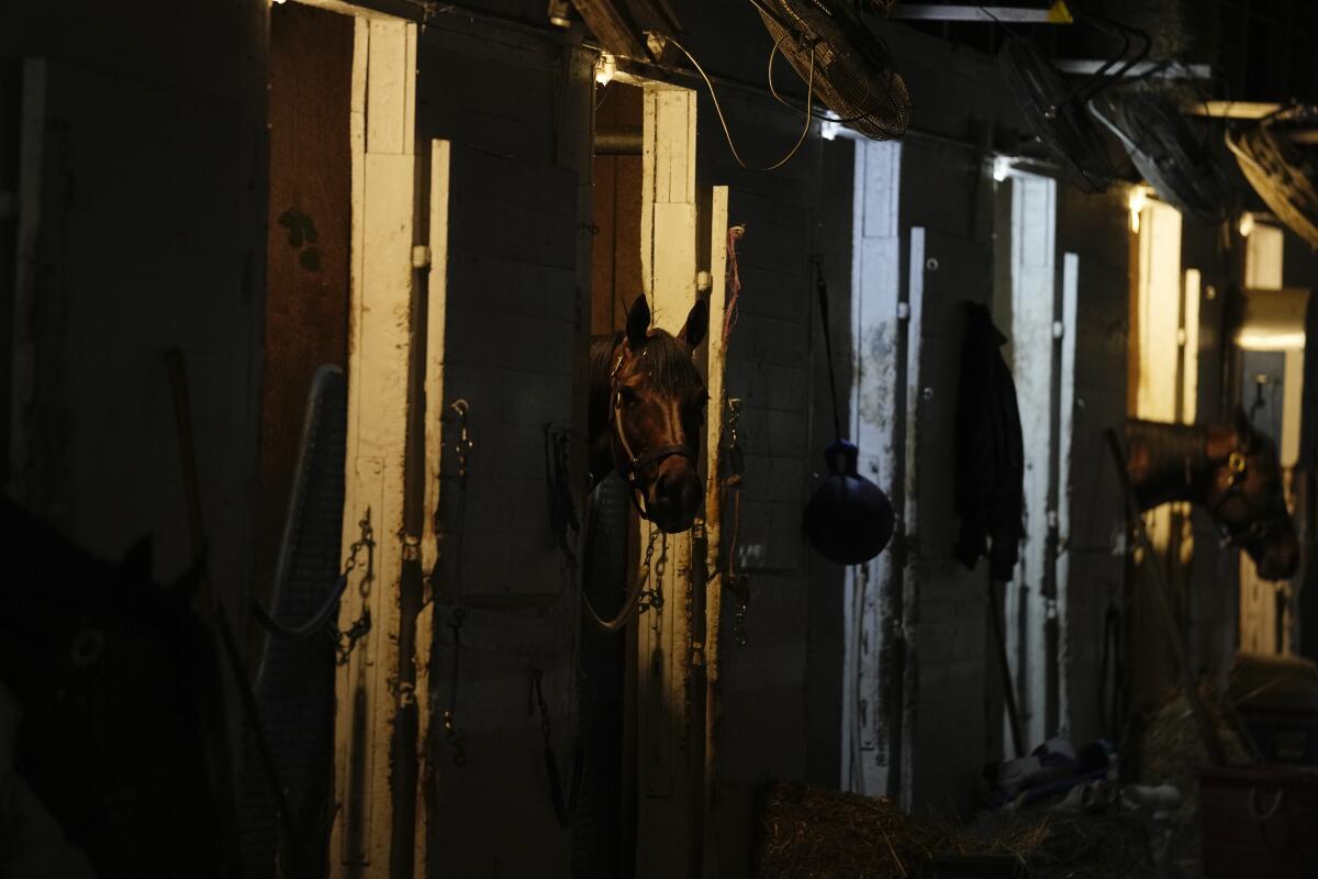 Horses peek out of their stalls at Churchill Downs on Friday.