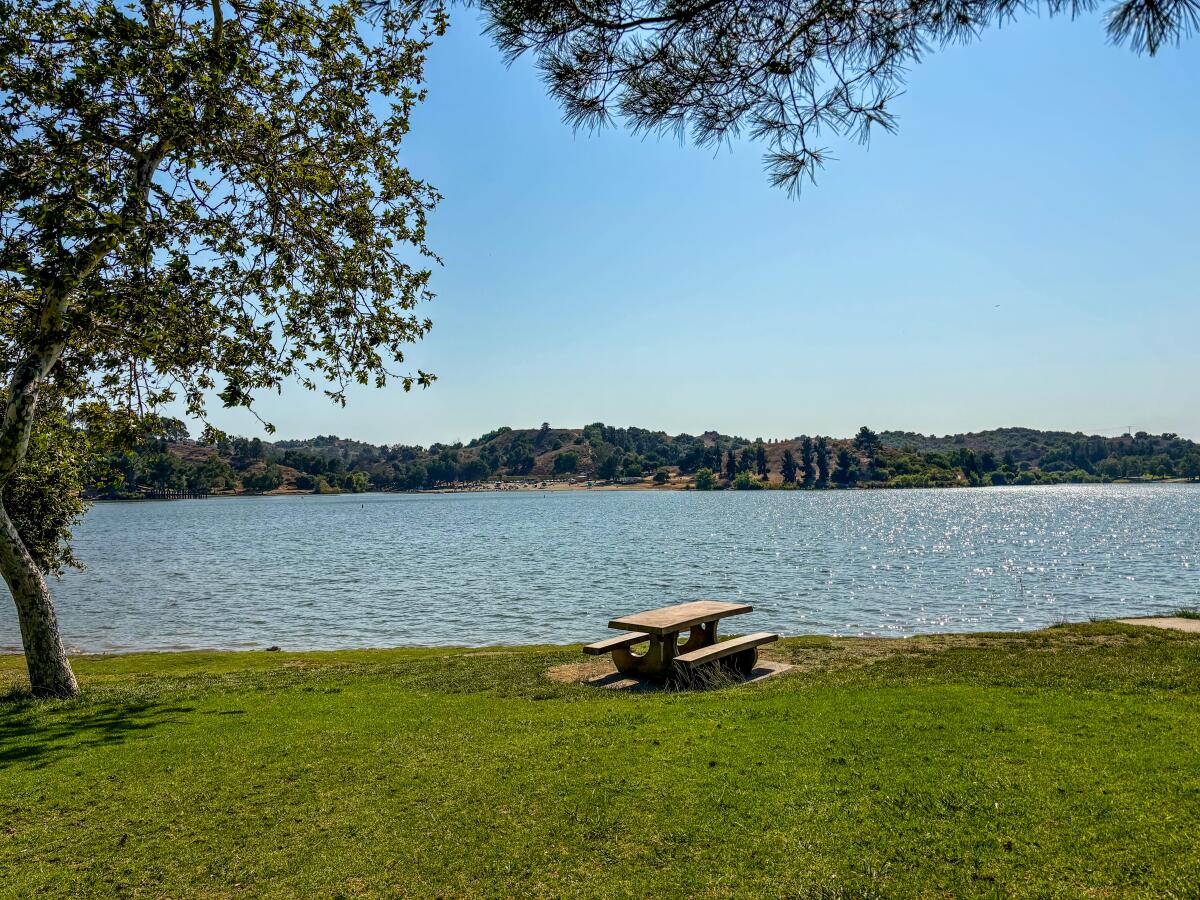 A view of Puddingstone Lake