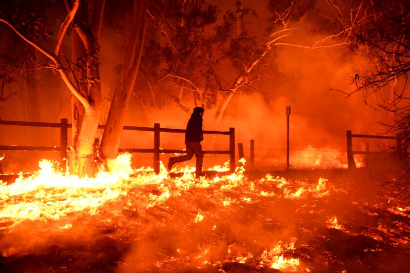 VENTURA, CALIFORNIA DECEMBER 5, 2017-Edward Aguilar runs throught he flames from the Thomas Fire to save his cats at his mobile home along Highway 33 in Casita Springs in Ventura County Tuesday. (Wally Skalij/Los Angeles Times)