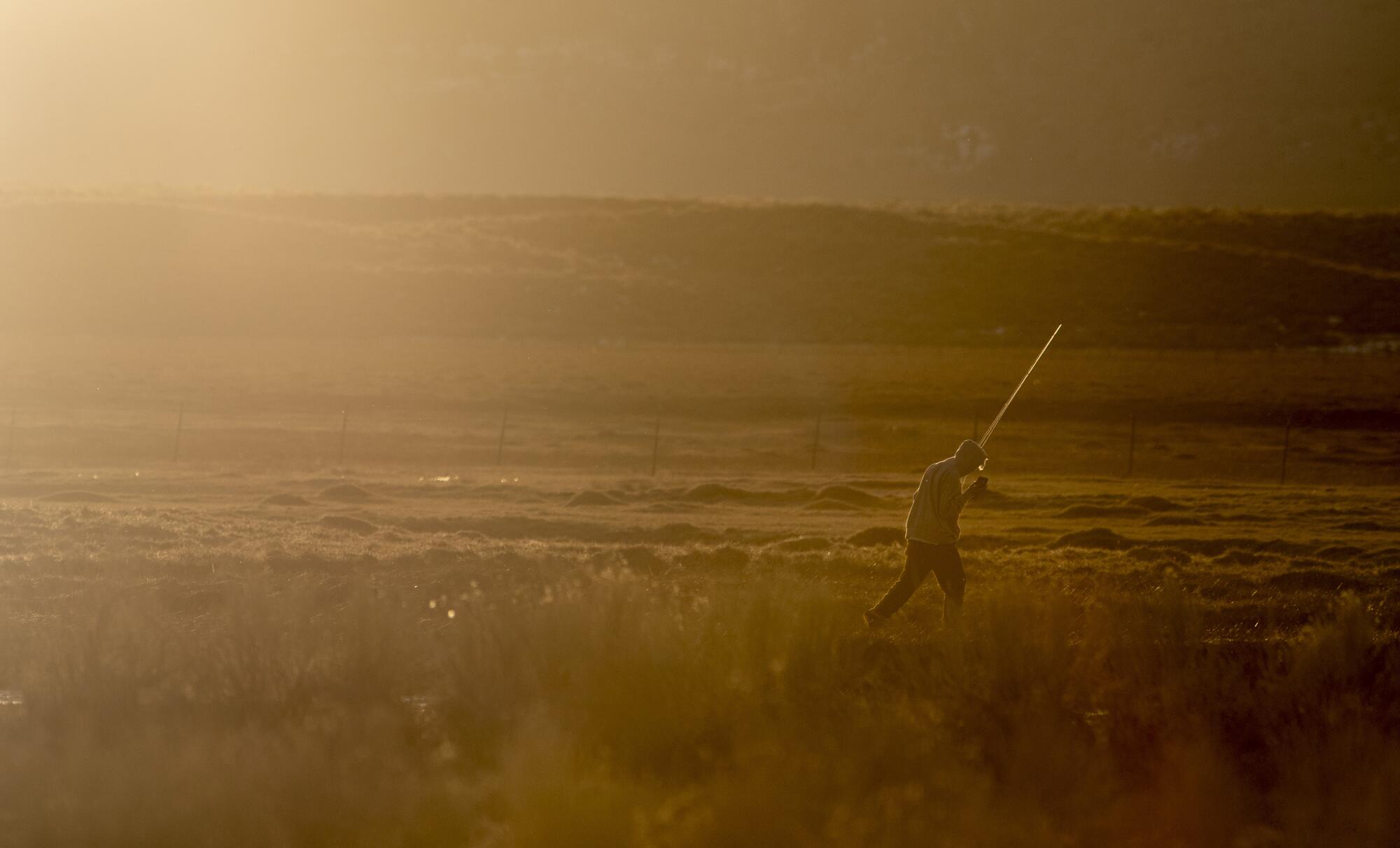 A fly fisherman heads home from the Owens River in the late-afternoon light.