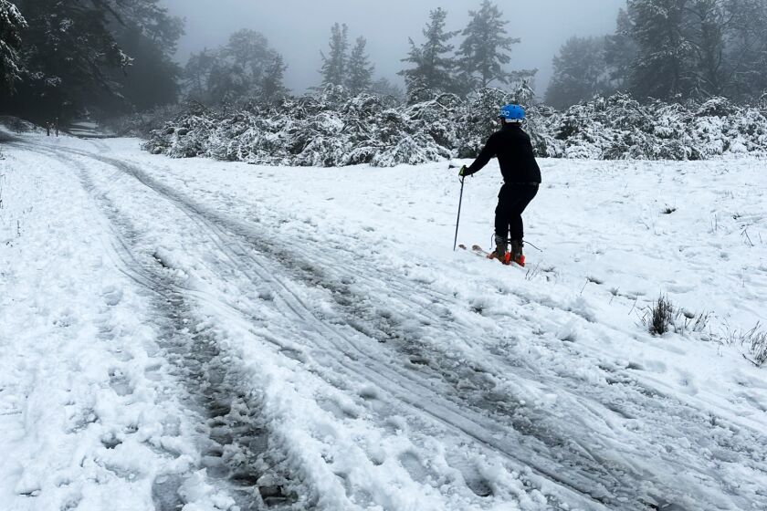 Jay Sayre, a doctoral candidate at UC Berkeley, hit the slopes, er, hills, of Berkeley after rare snow fell not far from downtown Berkeley Friday, Feb. 24, 2023. Photo courtesy of Alexandra Arjo.