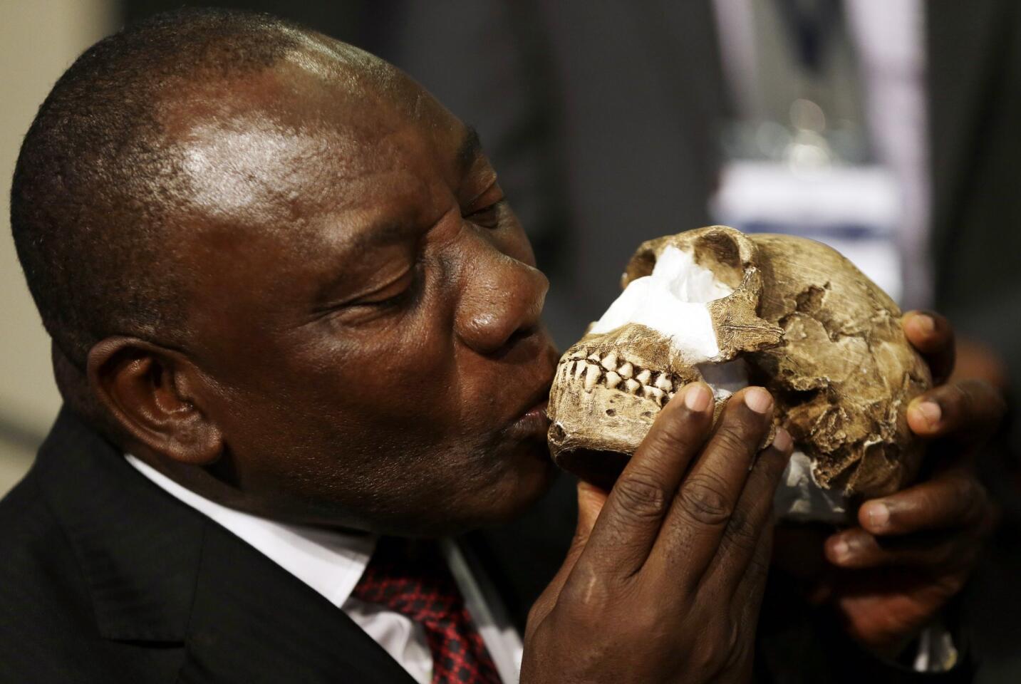 Homo naledi