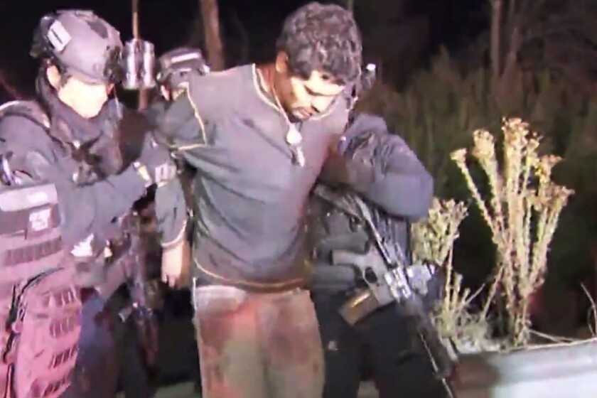 Los Angeles police apprehended a man matching the description of the Shadow Hills prowler at about 10:40 p.m. in the area of Shadow Hills Avenue and Wentworth Street, near the Hansen Dam. He was identified as 25-year-old Benjamin Renteria and booked on burglary charges.