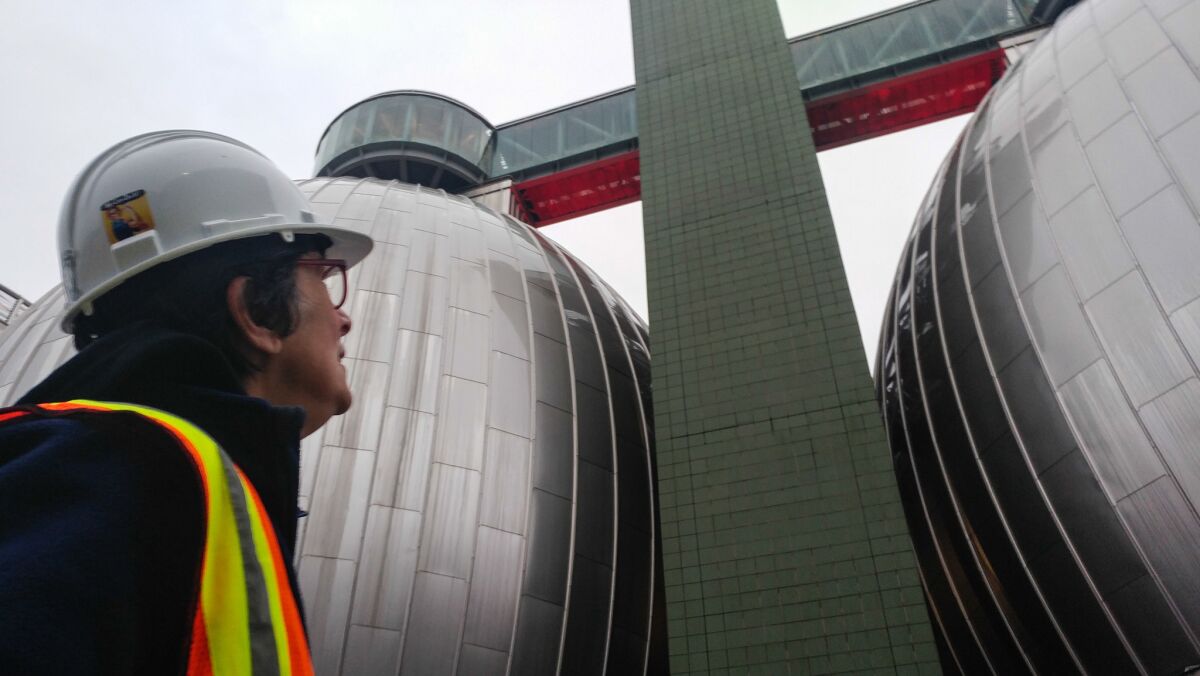 Deputy Commissioner Pam Elardo looks at the digester eggs, which are lighted red this week for Valentine's Day.