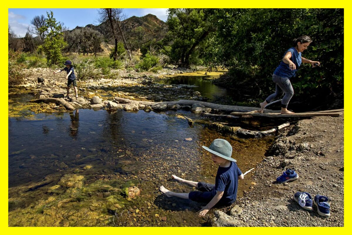 A group of people enjoy a stream in a recreation park.