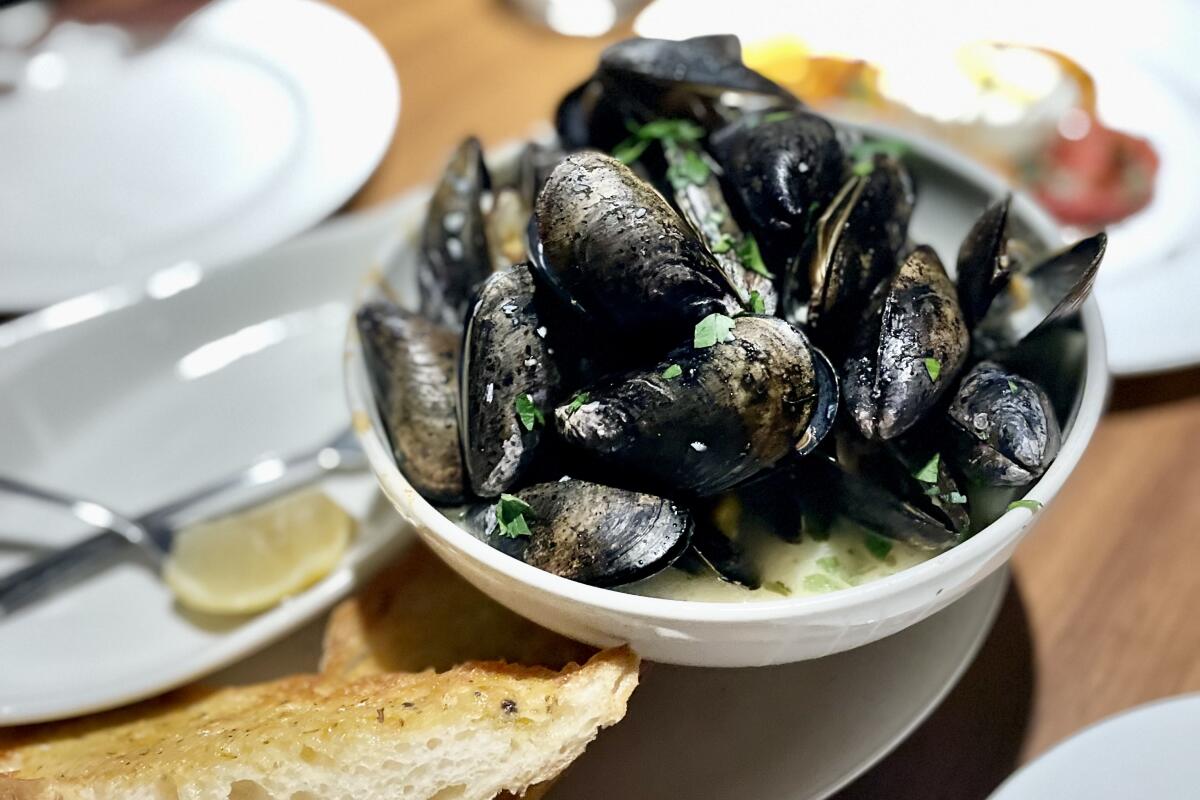 A bowl of mussels with slices of bread