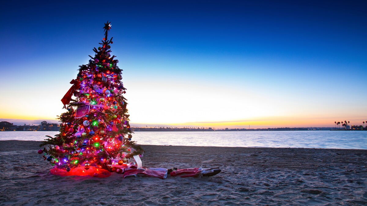Where To See Holiday Lights This Year Pacific San Diego Oceanside 2021 Christmas Tree