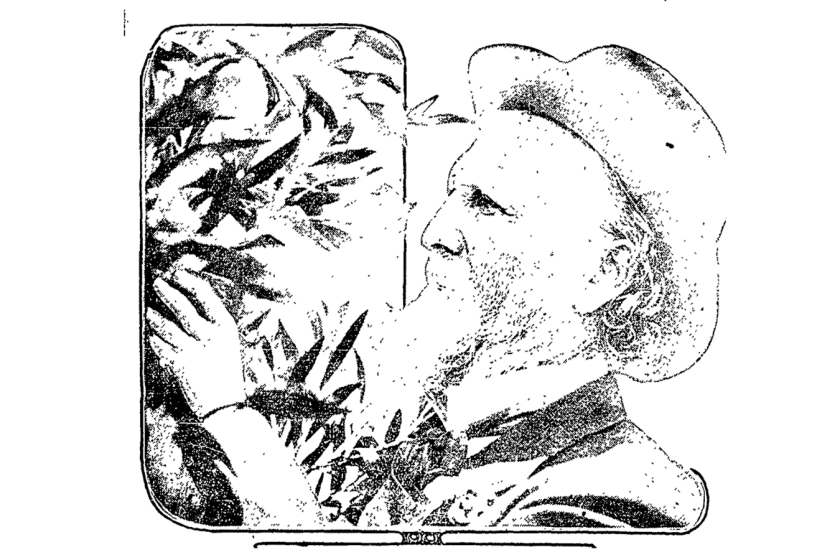 Drawing of John Muir, world famous California naturalist.