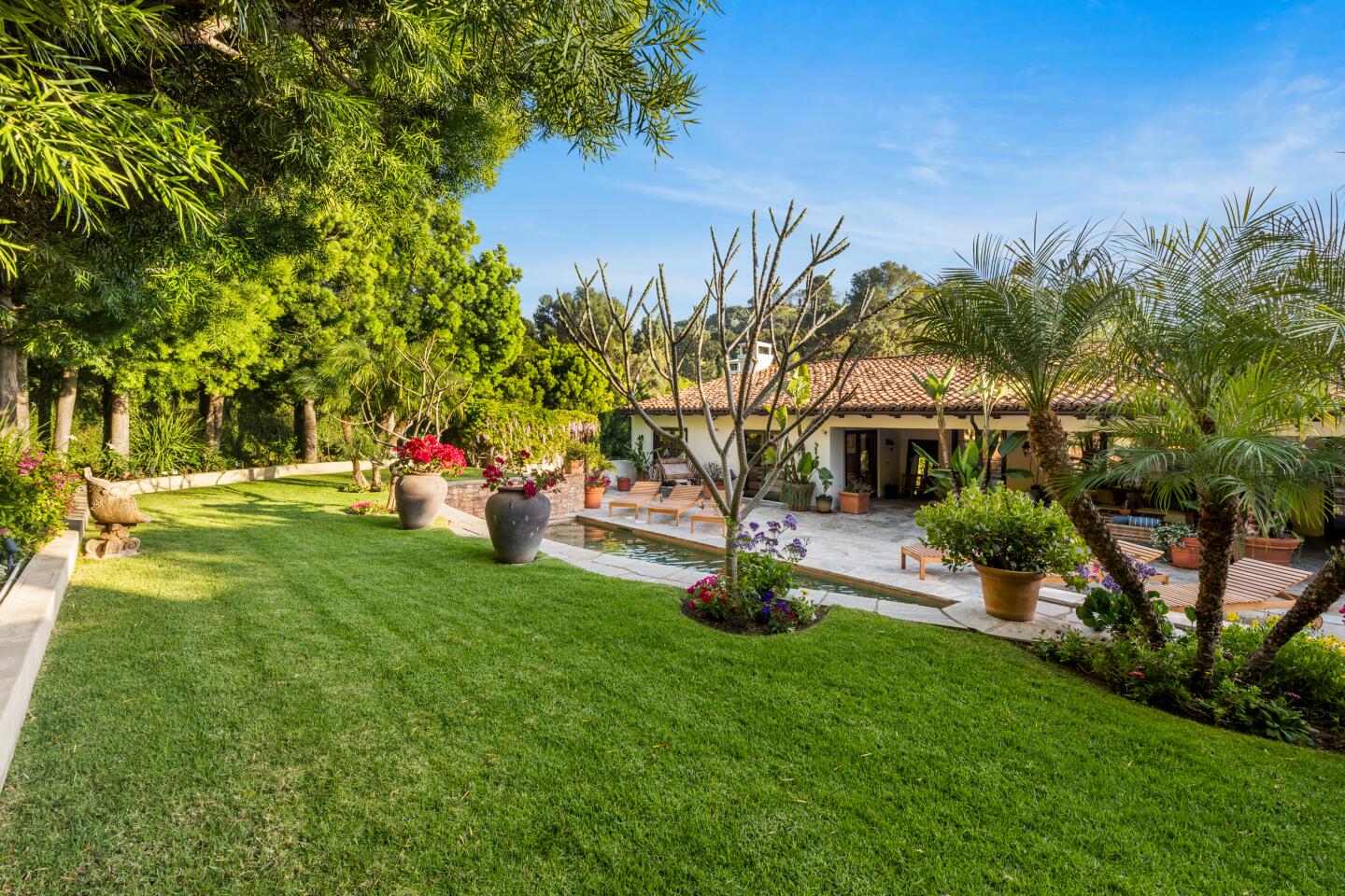The backyard.