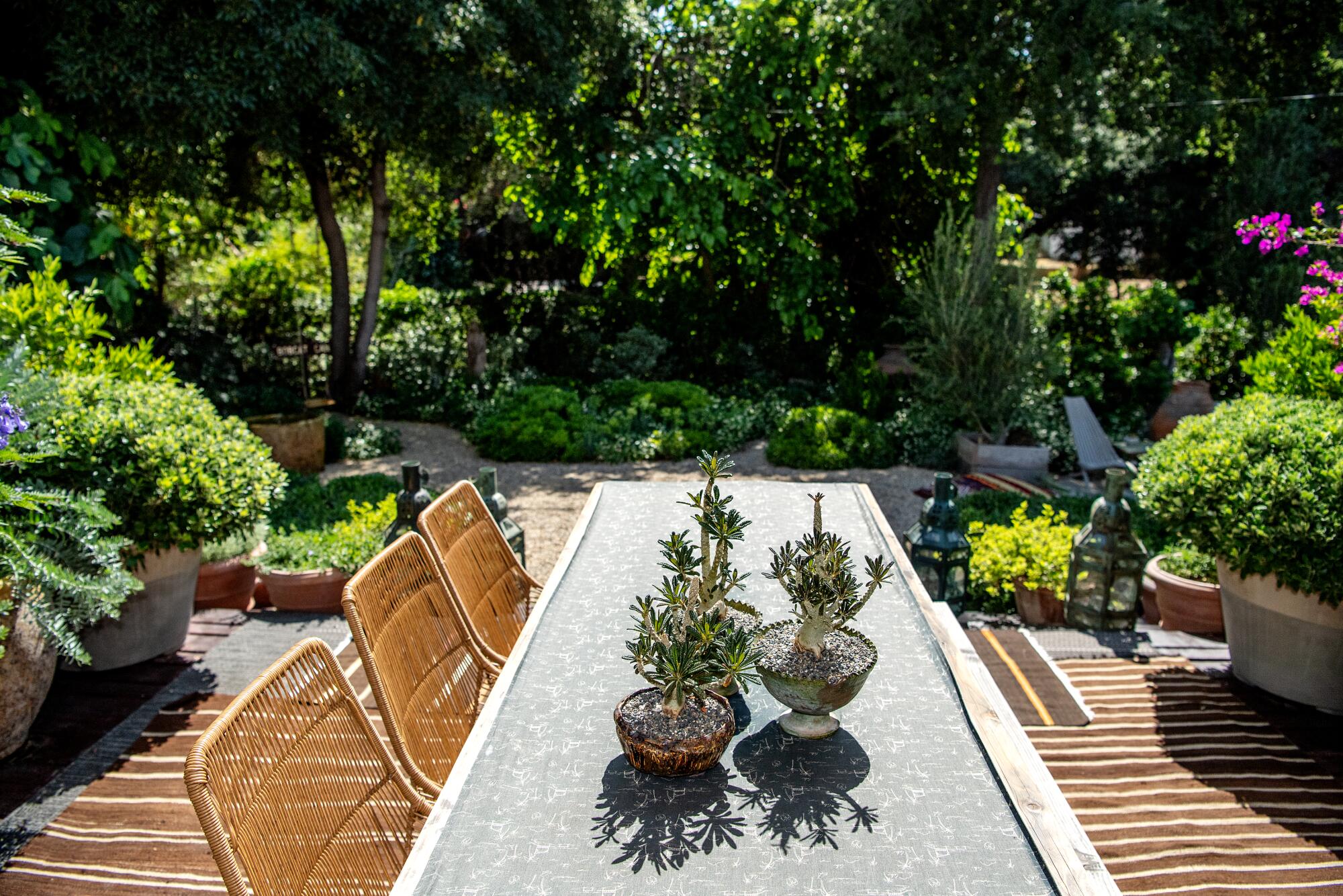 A view of a garden from a deck. 