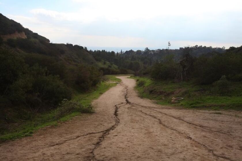 The trails in Griffith Park can take you to places where it's hard to remember you're in the middle of a big city.
