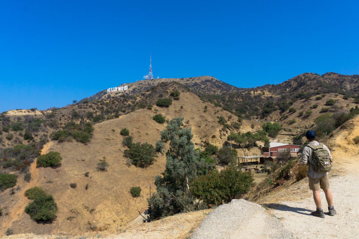 The Hollywood sign from the Hollyridge trail. 