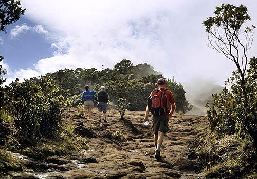 Hikers must negotiate the often wet and slippery clay of the Pihea Peak trail veiled in fog. At 4,284 feet of elevation, the peak is the highest mountain along the Na Pali coast, and overlooks the stunning Kalalau Valley.