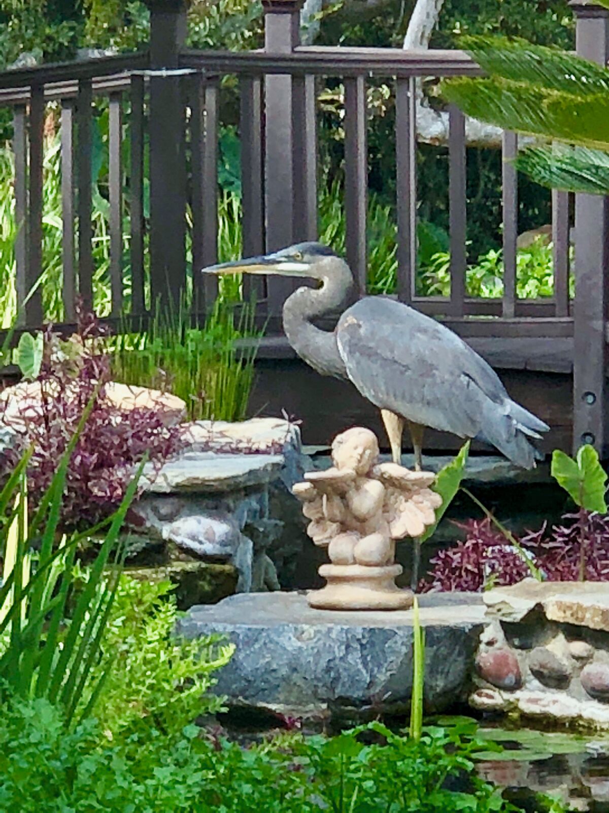 “Ramblin’ through the Ranch” Garden Tour and Market will be held Sunday, May 3, from 10 a.m. - 3:30 p.m.