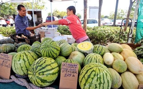 Watermelons at the farmers market