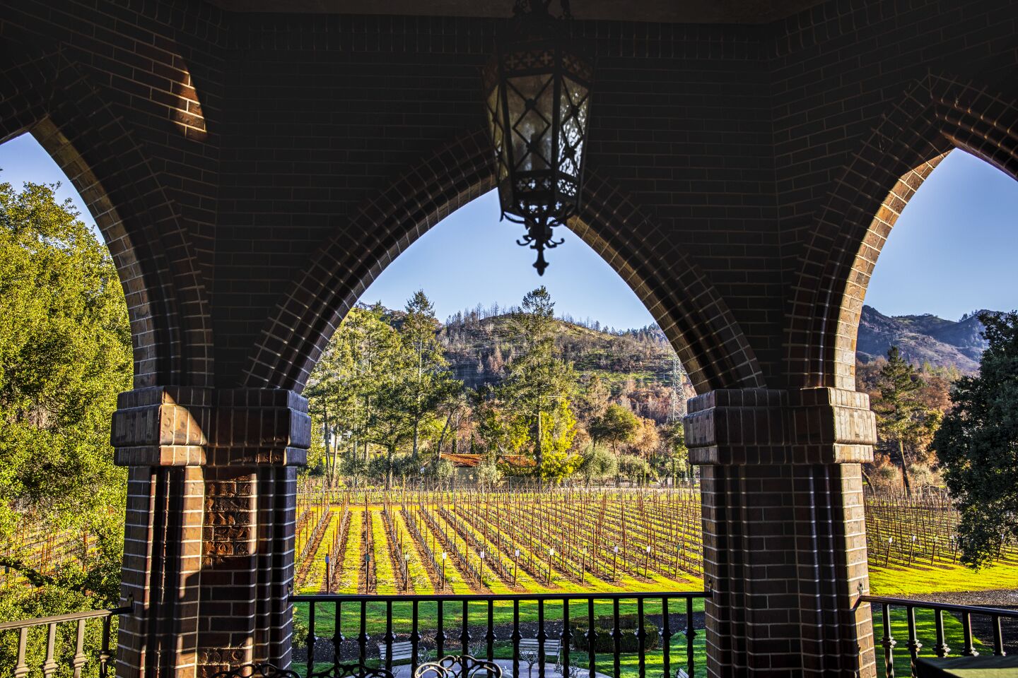 Vineyards seen through an arched opening