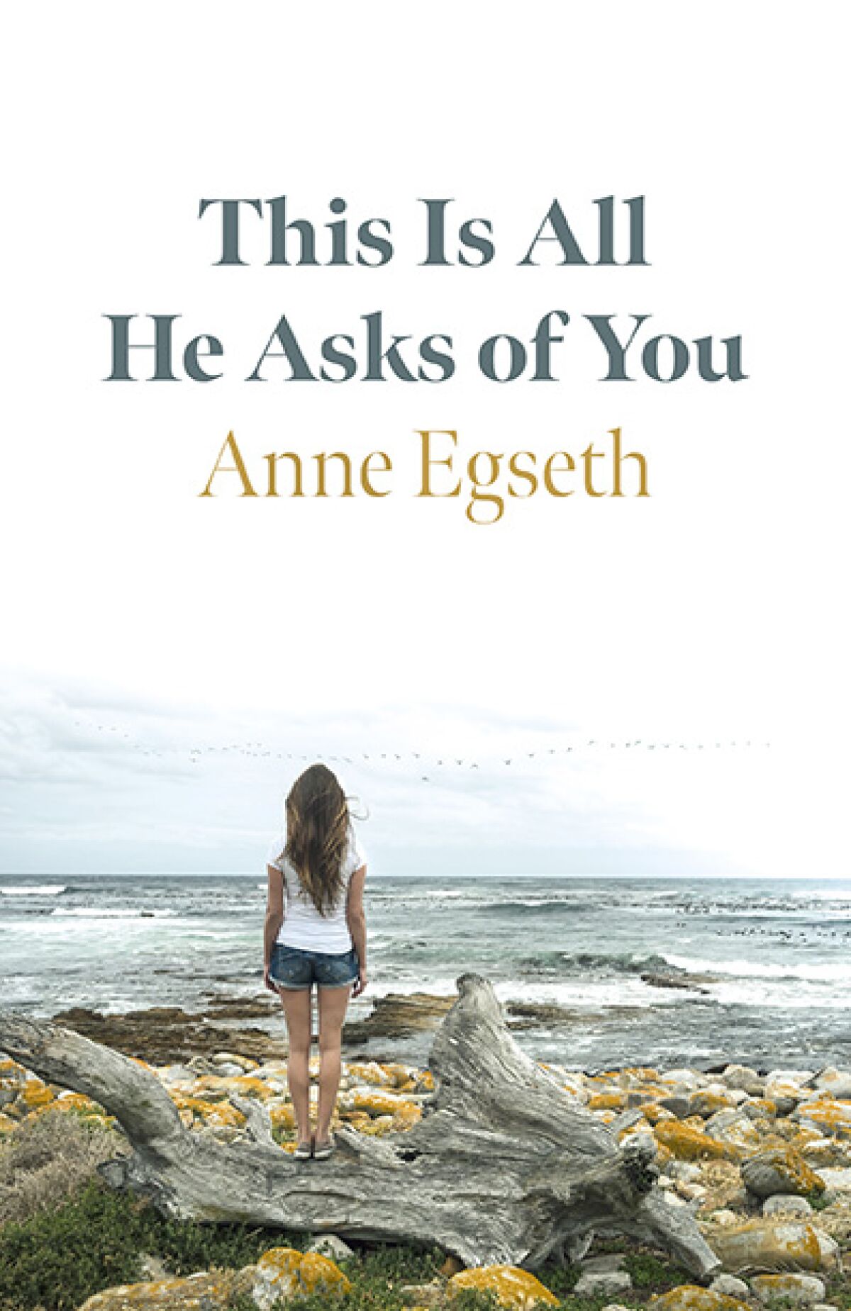 "This is All He Asks of You" is the debut novel of La Jolla resident Anne Egseth.