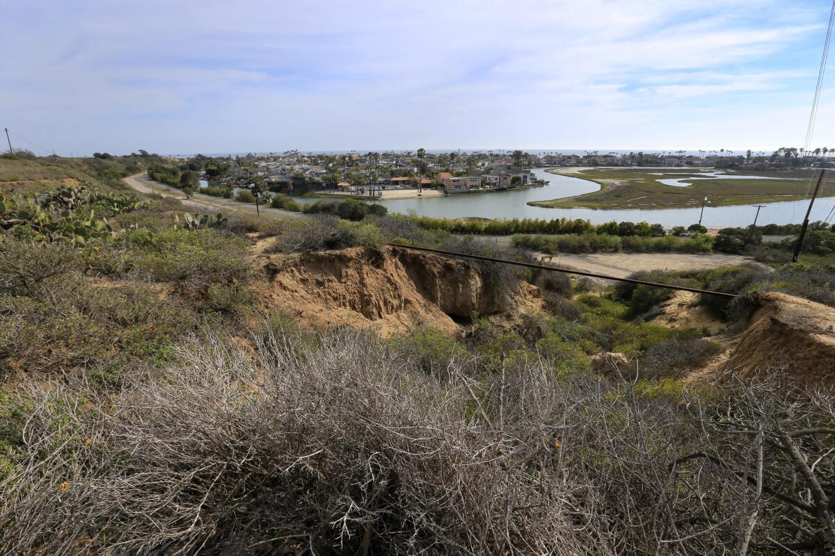 A view of the Army Corps of Engineers' mitigation and restoration area and the Newport Beach coastline as seen from site of the proposed Banning Ranch development.