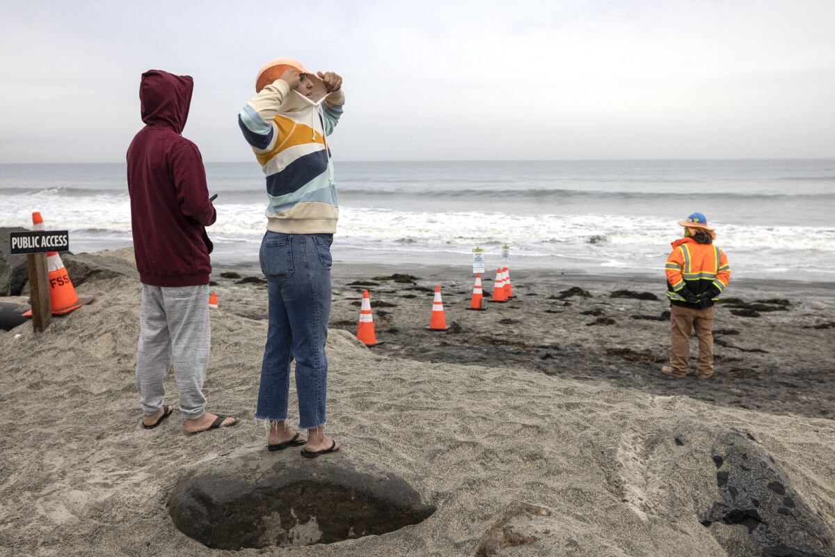 Surfers Lauren Wertheimer, right, and Darren Ledingham watch the surf at Cardiff State Beach after a tsunami advisory