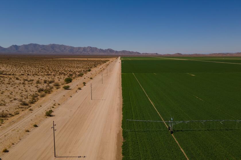 Butler Valley, AZ - June 27: An irrigation system waters an alfalfa field at the Fondomonte farm in Butler Valley, Arizona on Monday, June 27, 2023. (Photo by Caitlin O'Hara for The Washington Post via Getty Images)