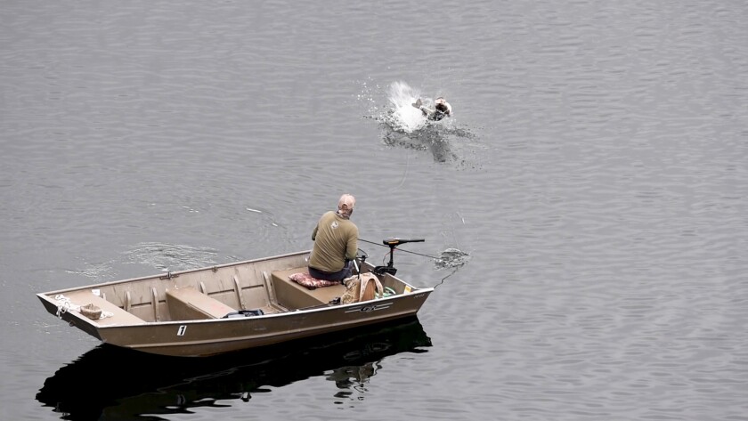 A story published on SDFish.com called into question claims by bass-fishing legend Mike Long, shown snagging a bass April 4 on Lake Poway.