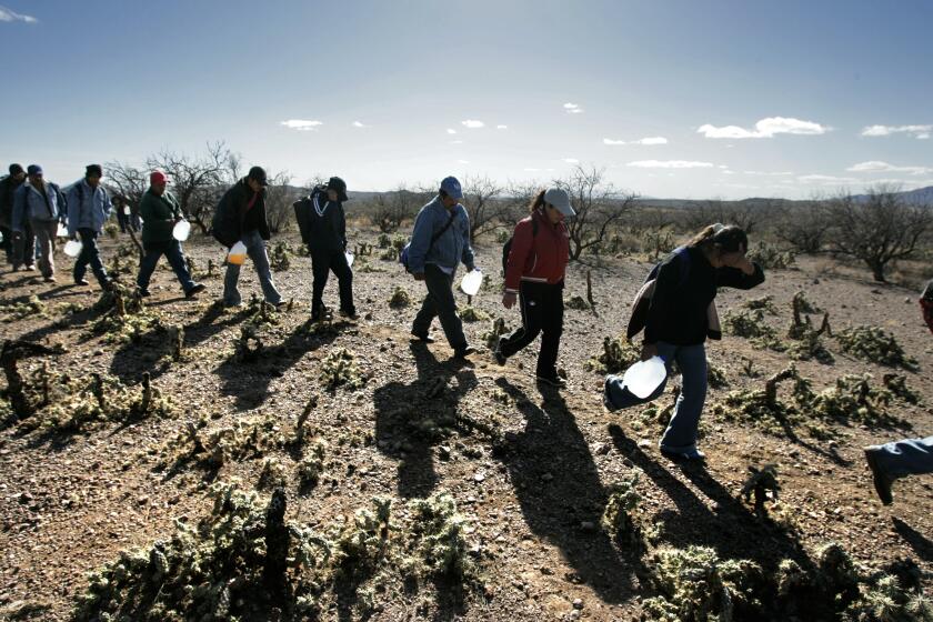 Lugging gallon jugs of water, migrants thread their way along footpaths just north of the Mexico/Arizona border. The numbers of illegal immigrants who have perished trying to cross the southern Arizona desert has reached an historic high this year.