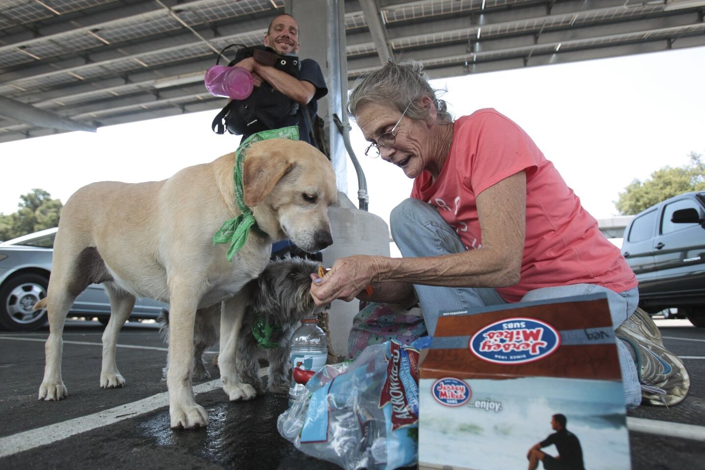 Helen Quick feeds Gucci, owned by her son Richard Miner, background, food that she and her son had received at Mountain Empire High School in Pine Valley, which was a temporary location for people evacuated from the wildfire near Potrero, as they wait for a ride to the new evacuee location in El C