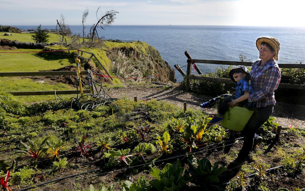 In the absence of visitors to Esalen, Verity Howe, 39, helps tend the center's community garden with her son, Calder, 4. Howe is married to the retreat's gardener.