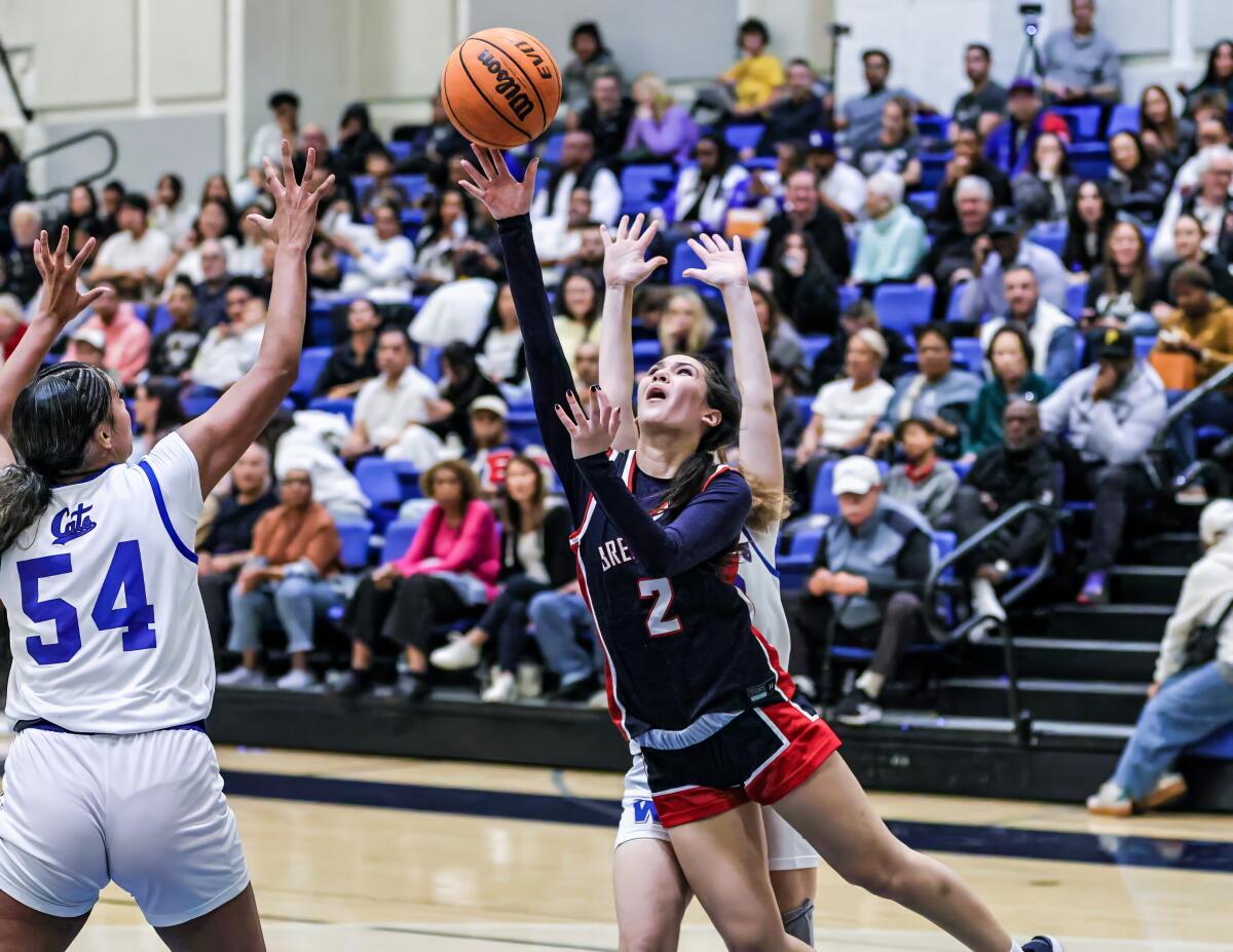 প্রিপ বাস্কেটবল রাউন্ডআপ: ব্রেন্টউড উইন্ডওয়ার্ডের বিরুদ্ধে একটি বাউন্স-ব্যাক জয় তুলে নিয়েছে
