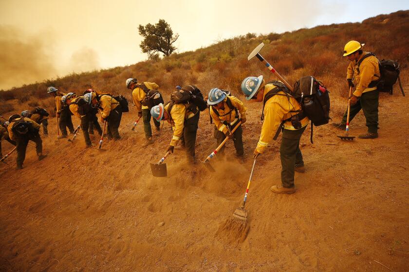 GAVIOTA COAST, CA - OCTOBER 12: Firefighters from California Conservation Corps prepare as flames from the Alisal Fire move toward La Paloma Ranch near Refugio Canyon Tuesday afternoon. Rancher Eric Hvolboll remembers the 2016 Sherpa Fire where he lost many avocado trees and broke a leg during g the blaze that burned through his La Paloma Ranch. The Alisal Fire is over 7,000 acres on Tuesday after it quickly grew Monday afternoon driven by sundowner winds as it burned through Tajiguas Canyon to the 101 freeway forcing its closure. Mandatory evacuations are in place as the gusty winds drive flames through rough terrain that hasn't burned in decades. The 1955 Refugio Fire that consumed 80,000 acres is the last time much of the area had burned. The historic Reagan Rancho del Cielo which sits near the top of Refugio Canyon could be threatened by the flames as the fire moves into Refugio Canyon. Refugio Road on Tuesday, Oct. 12, 2021 in Gaviota Coast, CA. (Al Seib / Los Angeles Times).