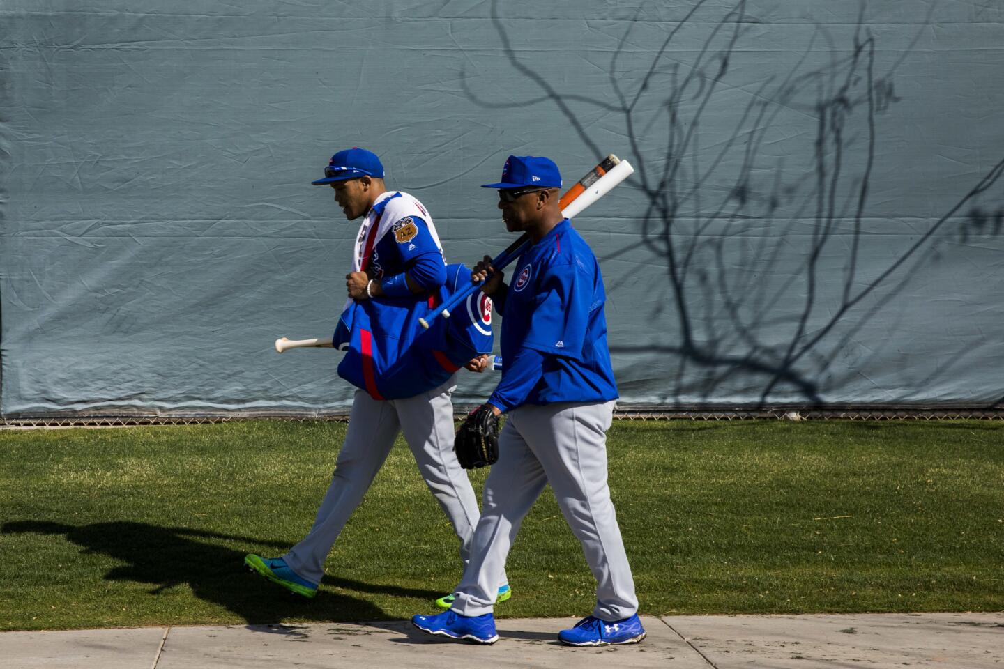 ct-cubs-arrive-at-spring-training-photos-033