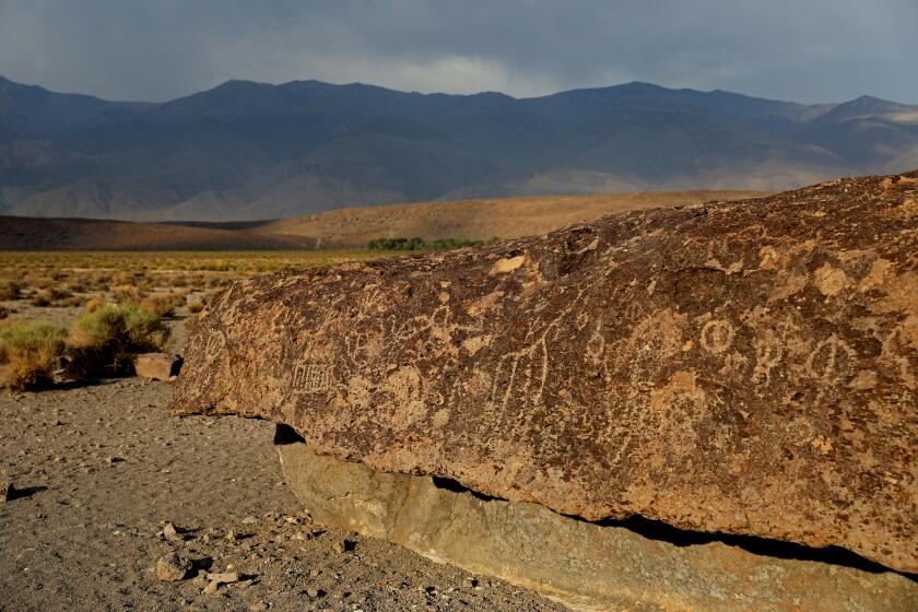 BISHOP, CA - JULY 12: Fish Slough Petroglyph site in the U.S. Bureau of Land Management's Volcanic Tablelands area on Monday, July 12, 2021 in Bishop, CA. Joseph Kirschvink, a professor of geoscience and faculty member, from the California Institute of Technology, known for its strength in science and engineering, had used a portable pneumatic drill to extract core samples for paleomagnetic studies. In the process, the site was riddled with 29, 1-inch diameter holes marked with blue paint. The area is located in the eastern Sierra Nevada range. Gary Coronado / Los Angeles Times)