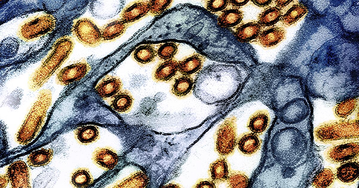 “Silent Sentinel: Uncovering the Hidden Threat of Bird Flu in California’s Central Valley Wastewater” “Silent Sentinel: Uncovering the Hidden Threat of Bird Flu in California’s Central Valley Wastewater”